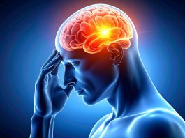 Sitikolin nedir? Ne işe yarar?